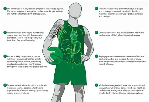 This is what happens in the body. Recovery Nutrition for the Basketball Athlete