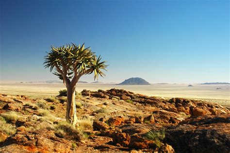Top 10 Largest African Deserts