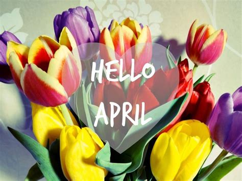 17 Best Images About Hello April ¡ On Pinterest