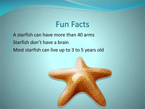 Ppt Starfish Powerpoint Presentation Id2276930