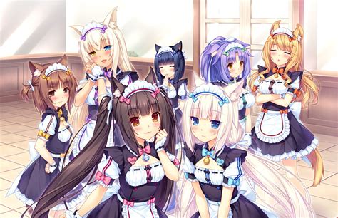 Im Selecting A Neko Maid Theme For This Weeks Wallpaper