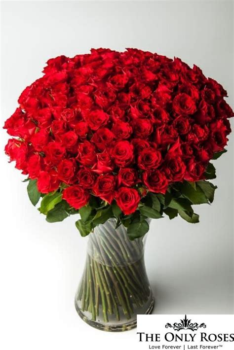 One Dozen 12 Long Stem Red Preserved Roses Luxury Bouquet In Glass Vase