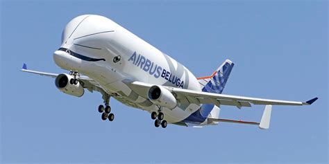 Airbus A330 700l Beluga Xl Información Sobre Aviones