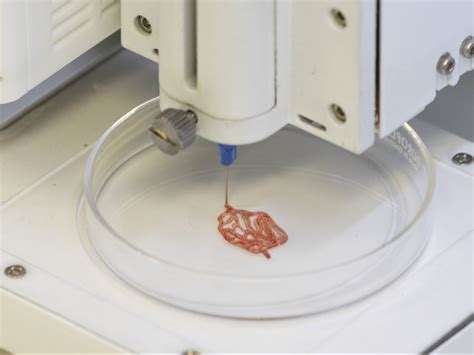 3d Printing Blood Vessels U Today