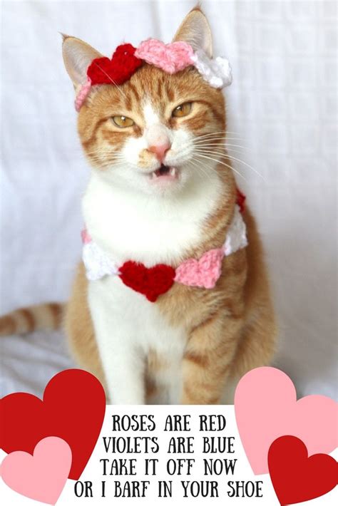 Heart Headband For Cats Valentines Day Cat Accessories Cat Photo