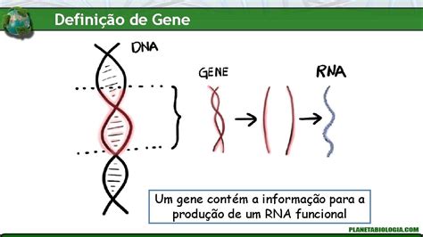 Introduo Gentica O Que Vamos Ver Nessa Aula 2022