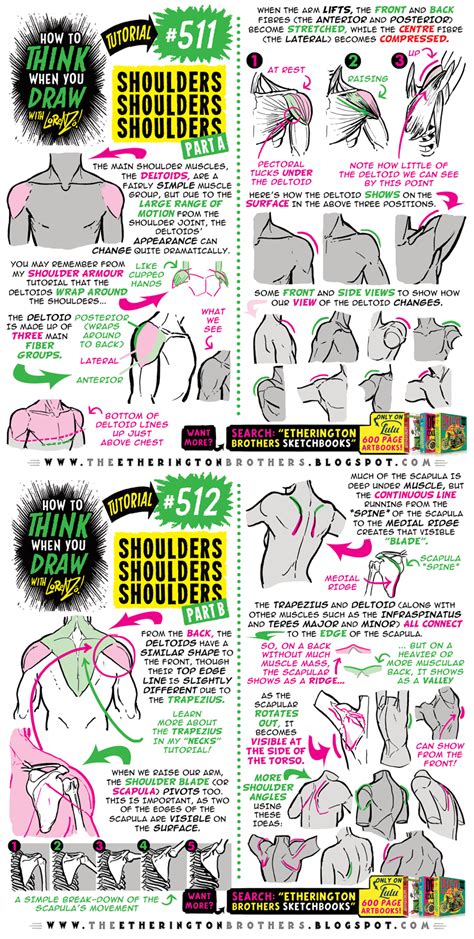 How To Think When You Draw Shoulders Tutorial By Etheringtonbrothers