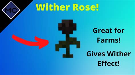Minecraft Bedrock How To Get The Wither Rose Mini Craft Tutorial 007