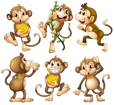 Cartoon Monkey Images Free Vectors Stock Photos And Psd