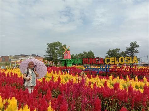 Entdecke rezepte, einrichtungsideen, stilinterpretationen und andere ideen zum ausprobieren. Kode Alam Kebun Bunga - 5 Taman Bunga Di Malang Yang Cocok ...