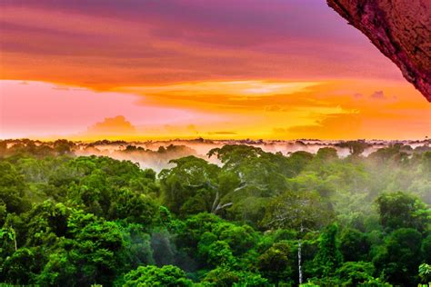 Colombias Amazon Rainforest And Canyon Tour 8 Days Kimkim