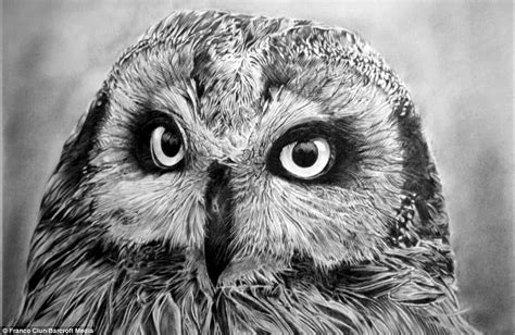 Realistic Pencil Drawings Of Animals Hoffman Courbeacced