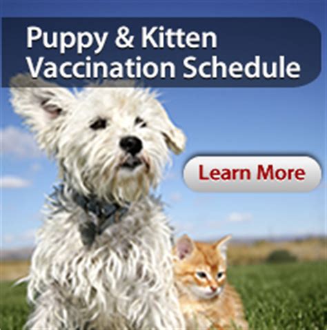 Great sites have pet euthanasia costs near me are listed here. Low Cost Mobile Pet Vaccination Clinics, Animal Hospitals ...