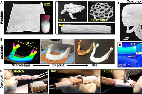 Researchers Develop Material For 3d Printing Bone
