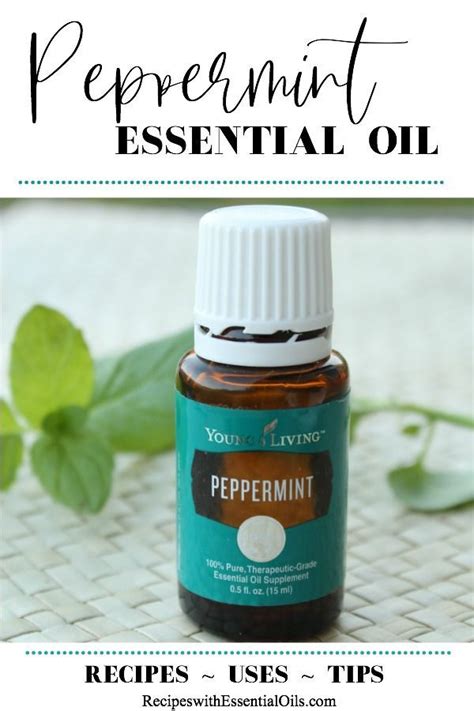 Getting To Know Your Oils Peppermint Essential Oil Peppermint