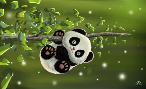 Animal Panda Hd Wallpaper By Amol Shede