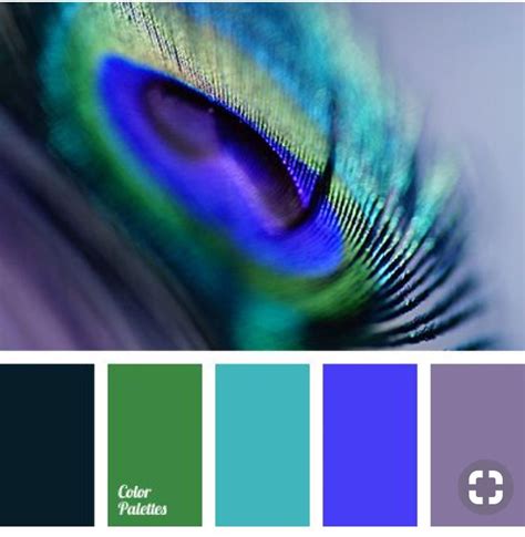 Pin By C Huston On Color Palettes Color Palette Bright Purple Color
