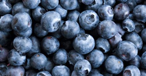 A jerk who creates an obstacle in the middle of a busy sidewalk by stopping to read his/her blackberry. The struggle to save Alaska's 'illness-busting' wild berries
