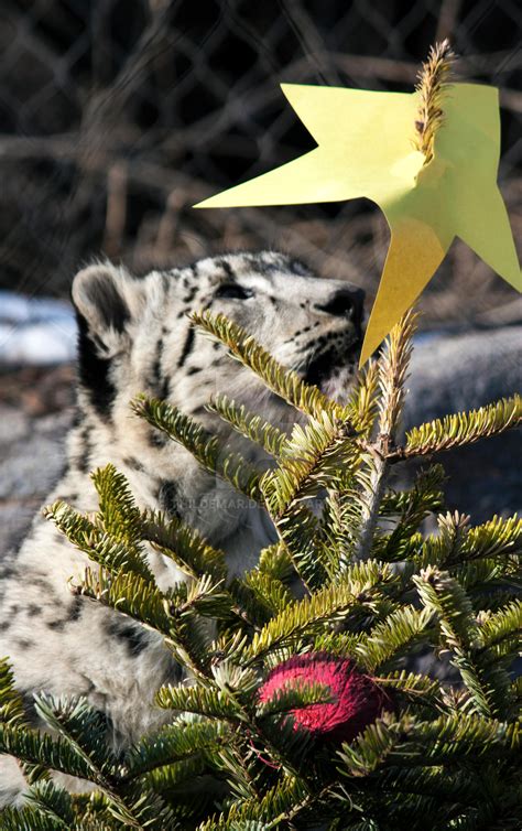 Snow Leopard Cub Christmas Tree By Thildemar On Deviantart
