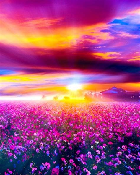 Final Realization: Day 27 Celestial Eden – Bible in 365 Days – Lily