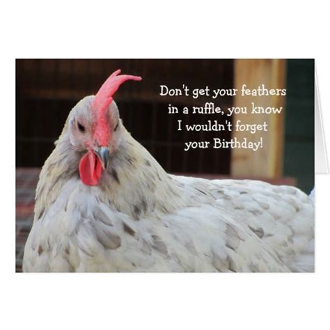 funny rooster birthday greeting card zazzle