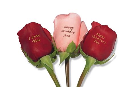 Personalized Roses The Perfect Valentines Day T The Green Head