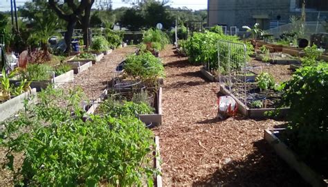 Clearwater Community Garden Expands To 45 Plots Cra