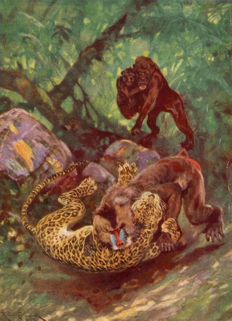 We would like to show you a description here but the site won't allow us. MANDRILL FIGHTING A LEOPARD | Hutchinsons - Animals of all ...