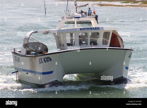 Twin Hull Fishing Boat Idea