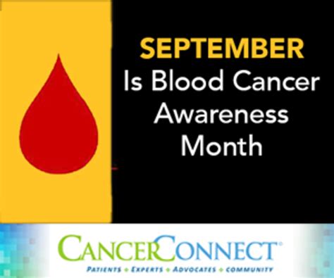 September Is National Blood Cancer Awareness Month Cancerconnect