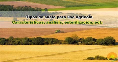 Tipos De Suelos En La Producción Agrícola【guía Completa】