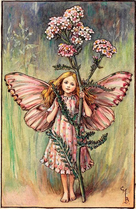 Yarrow Vintage Fairies Fairy Pictures Fairy Art