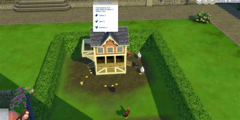 22 Sims 4 How To Clean Chickens Quick Guide