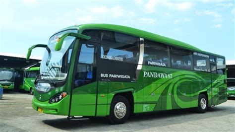 Info Lengkap Foto Dan Harga Sewa Bus Pariwisata Pandawa 87