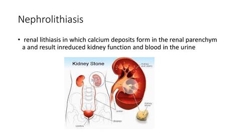 Medical Terms Online Presentation