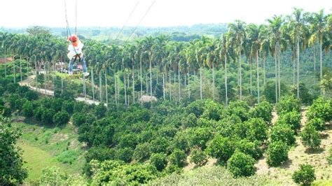 My wife and i toured panaca on our honeymoon in december of 2011. Panaca - Eje Cafetero | Turismo Eje Cafetero - Canopy ...
