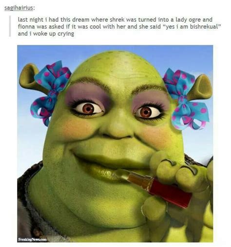 Pin By Gregory Barden On Humor Shrek Shrek Memes Memes