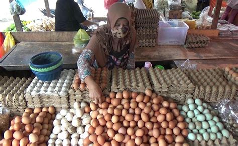 Harga Telur Meroket Di Pasar Cik Puan Rp 53 Ribu Per Kilogram