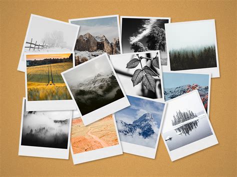 Anschein Unterscheidung Der Eigentümer Polaroid Picture Collage