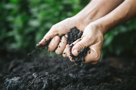 Coarse, craft, dirt, how, make, minecraft, minecraftdotnet, themodspotlight, to filed under minecraftdotnet : Substitutes for Horticultural Sand in Seed Mixes