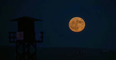 Cuándo y cómo ver la espectacular Superluna del Cazador la penúltima