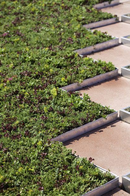 Sustainable And Green Roofing Mj Building Envelope Solutions Inc