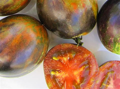 Check spelling or type a new query. Cosmic Eclipse Tomato | Baker Creek Heirloom Seeds
