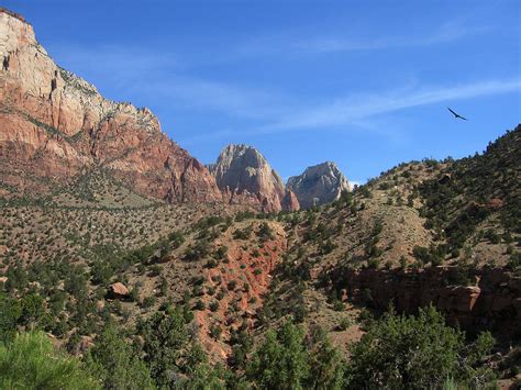 These unique rock formations are colorful and stunning in this utah park. File:Mountains in Zion National Park, Utah.jpg - Wikimedia ...