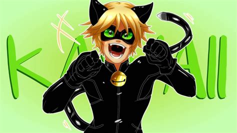 Once the download completes, the installation will start and you'll get a notification after the installation is finished. Cat Noir Wallpapers - Top Free Cat Noir Backgrounds - WallpaperAccess