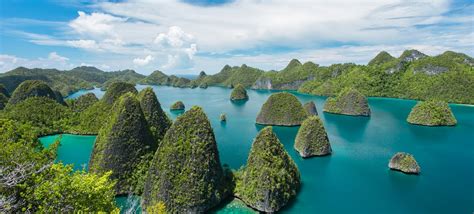 Learn vocabulary, terms and more with flashcards, games and other study tools. 71 Interesting Facts about Indonesia | Fact Retriever