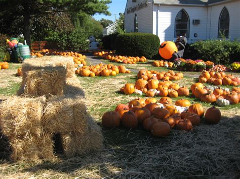 Pumpkin Patch | Levittown, NY Patch