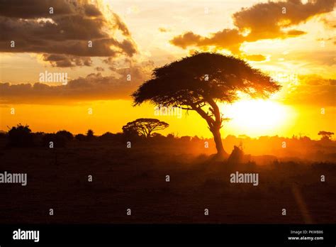 Africa Savannah Landscape Sunset Hi Res Stock Photography And Images