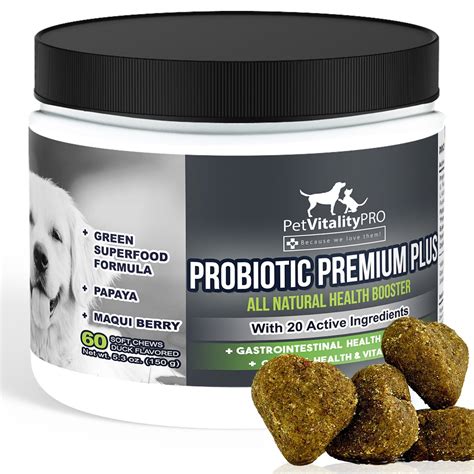 Buy Petvitalitypro Probiotics For Dogs With Natural Digestive Enzymes 4