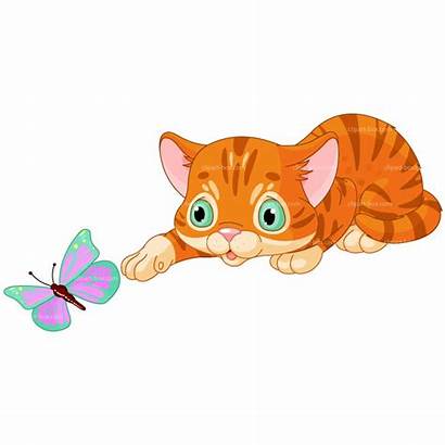 Kitten Clipart Butterfly Cat Playing Plays Vector